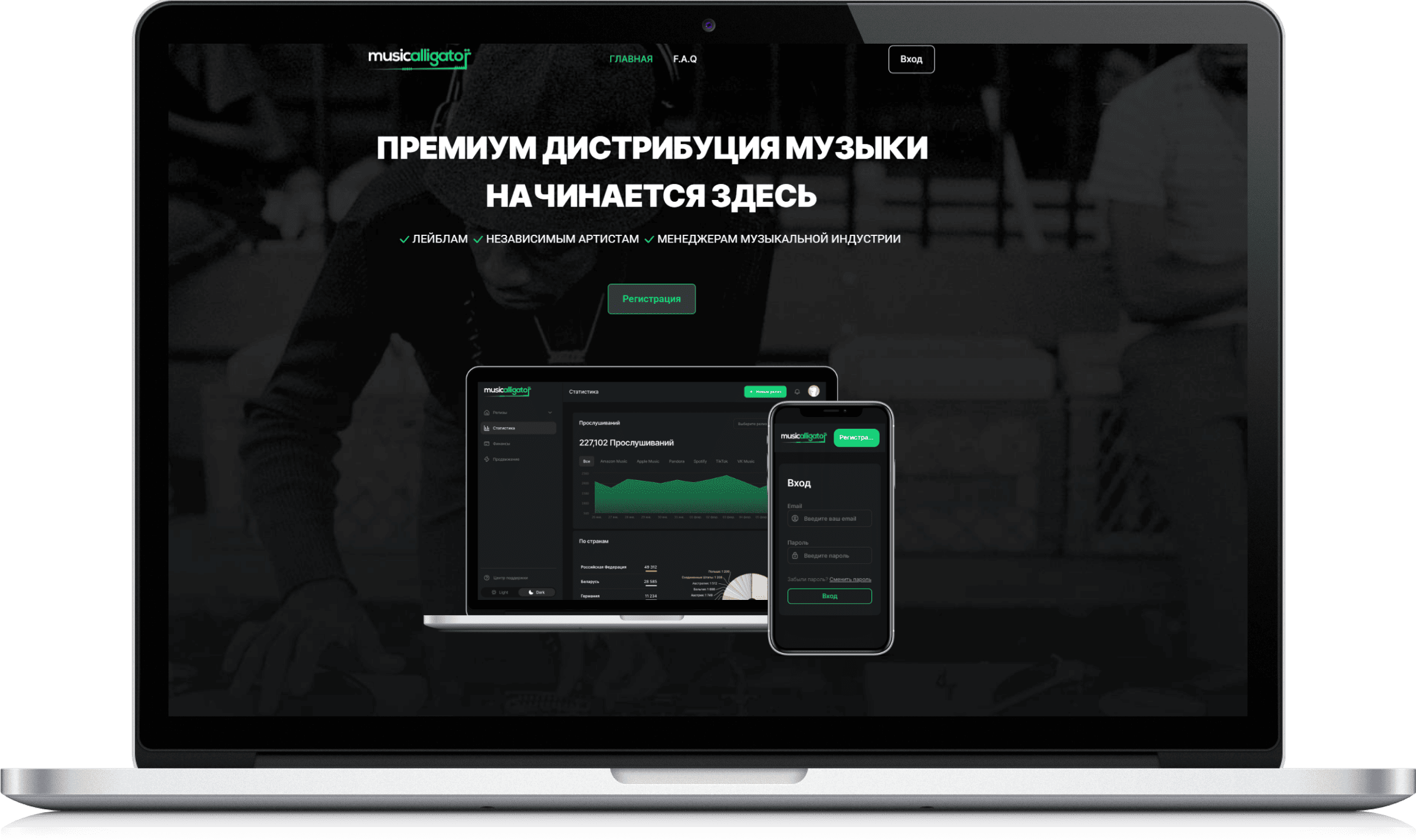 SEO оптимизация сайта MusicAlligator